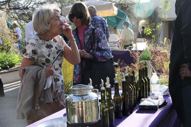 Sonoran desert wildflowers celebrated at Tohono Chul